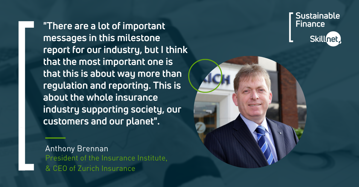 Insurance Report - Sustainable Finance Skillnet (1)